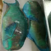 Cheap Fresh Sea Frozen Fish Parrot Fish WR Good Sale Indonesia Origin Seafood