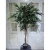 Import Cheap Price Greenery Tree Plant Indoor Decor Artificial Topiary Plant Trees from China