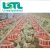 Import Chicken feeder line chicken automatic feeding system feeding pan system line from China