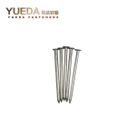 China Factory Smooyth Common HDG EG Bright Stainless Steel Loose Nails