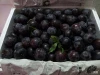 china fresh black plums