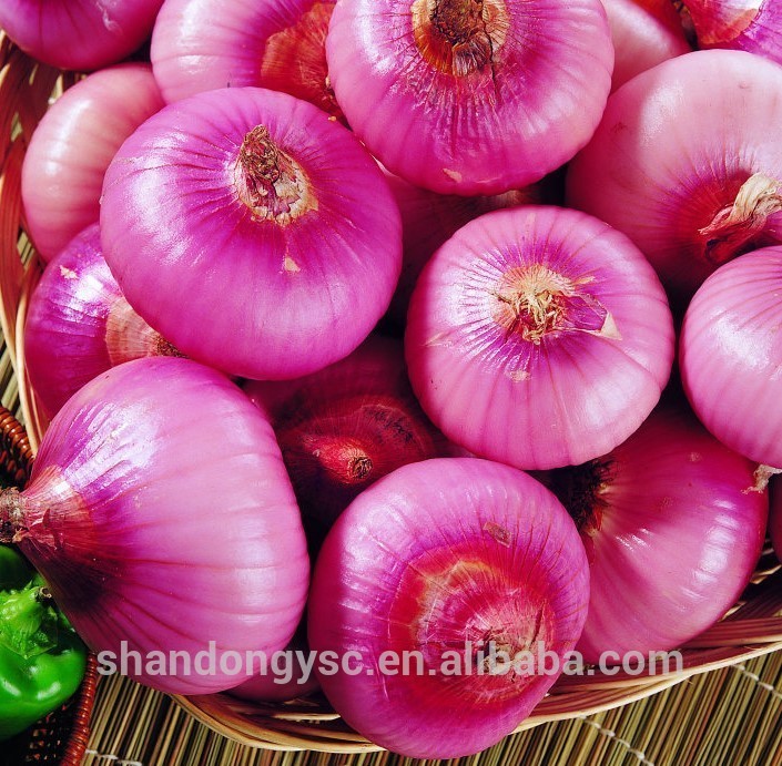 Chinese best selling fresh red yellow onion for export