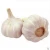 Import Chinese garlic seeds from fresh vegetables and fruits companies 5% off from China