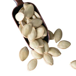 Chinese Shine skin pumpkin seeds low price for sale