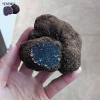 chinese truffle