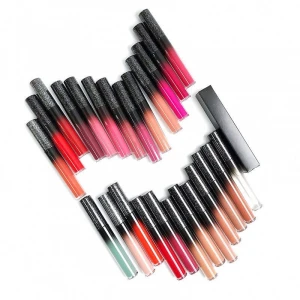 Choose your own color and customized lip gloss tube liquid matte velvet gloss private label lip gloss low MOQ