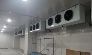 Cold room Refrigeration camera for sea food cold chamber for ice cream freezer toom