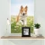 Import Competitive Price Memorial Pet Dog Bone Urn Custom Wooden Pet Picture Urns from China
