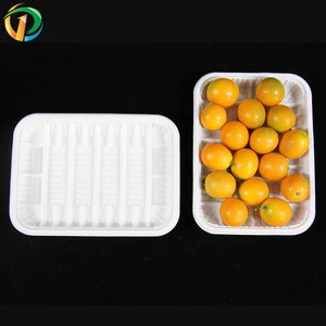 Custom disposable eco-friendly plastic frozen food / fruit packaging tray for shop and market