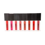 Customised Lip Gloss, Lip Plumper Lip Gloss, Lip Gloss Vendor from China