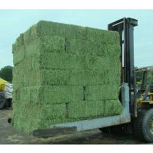 Dehydrated Alfalfa hay, alfalfa hay, timothy hay bales for sale
