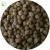 Diammonium Phosphate Fertilizer DAP 18-46-00