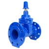 DIN3352 F5 Soft seal gate valve 100mm gate valve price stem wheel handle with hand week gate valv 2
