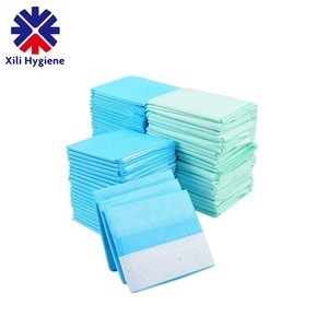Disposable clean up puppy training mats