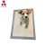Import Disposable high absorption Urine pet training pads from China