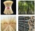 Import disposable natural bamboo satay stick corn dog sticks from China