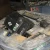 Import Drained Lead Acid Battery scrap from Canada