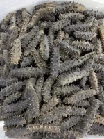 Dried Sea Cucumber ( WHITE TEAT FISH)