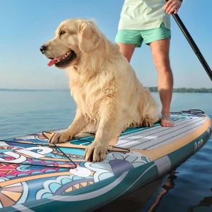 E SUP  New Design Padel Surf Sup Inflatable Touring Fishing  sap board sup paddle board dropshipping