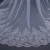 Import Elegant sparkle 3.5m Two-Layer Lace Edge Popular Wedding Accessories Bridal Wedding Veils with comb from China