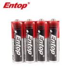 Environmental digital Products 1.5V 480mAh R6P AA Battery