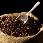 Export High Quality Africa Arabica Green Coffee Beans