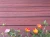 Import Exterior Home Garden Timber Raw Materials Co-extrusion Wood Composite Decking Flooring 138x23mm from China