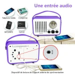 Factory radio /car radio/ FM Radio Portable Alarm Clock Radio with LCD Screen