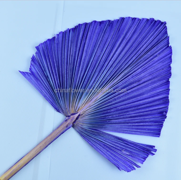FCD1008 Dry Flowers dried Large palm leaves kinds of dried palm for home and wedding decoration