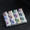 Feishi 12 colors Shell Mermaid Mica Nails Pigment Powder