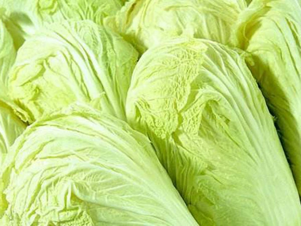 Fresh Chinese  Cabbage Style  Weight  Origin Type Variety Product 2020 crop