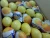 Import Fresh Citrus Fruits /Yellow Lemon &amp; Green Lime, yellow Eureka fresh lemon for Exports from France