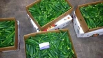 Fresh Frozen Okra