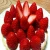 Import Fresh goji berries, black goji berry, Blueberry, Cranberry, Strawberry, Huckleberry, Medlar, Raspberry, Mulberry, from South Africa