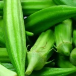 Fresh Okra  for sale