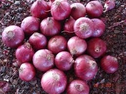 Fresh Onion Grade A