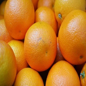 fresh orange fruit / orange oil - Wholesale for Fresh Citrus Fruit - High quality dried orange / soft dried orange