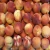 Import Fresh Peaches for export./ Fresh Peaches / Fresh Nectarines from China