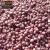 Import fresh red onion wholesale from Pakistan from Pakistan
