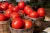 Import Fresh Round Quality Iron Red Tomatoes For Sale from South Africa