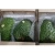 Import Fresh Soursop Guanabana Fruit With Juicy and Gelatinous White Pulp from Colombia