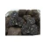 Import Fresh truffle from South Africa