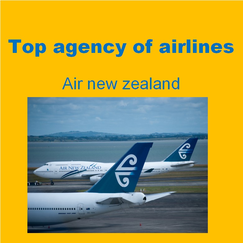 From huizhou china to Wellington WLG New Zealand good price air shipping services