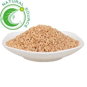 Fu Xiao Mai Factory Supply High Quality Low Price Dried Blighted Wheat For Hot Sale