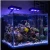 Import full spectrum changeable color 30W coral reef aquarium light to aquatic plants from China