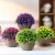 Import fzzw035 Factory Directly Sale beautiful Artificial topiary boxwood grass ball artificial plant for home decoration office from China