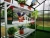 Import G-MORE 12x6  outdoor DIY quick install aluminum frame garden horticulture home greenhouse from China
