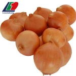 GAP/HALAL/KOSHER fresh vegetable importer, tianjin preserved vegetable, fresh fruits and vegetables