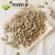 Import Green coffee beans arabica from China