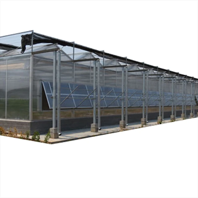 greenhouse tunnel indoor hydroponic greenhouse photovoltaic solar glass greenhouse